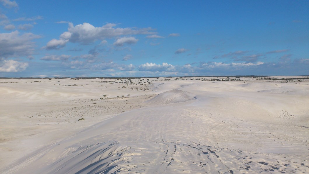 nv lancelinis. au #5&6